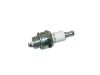 Bougie d'allumage Spark Plug:7021 BPM6A