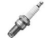 Zündkerze Spark Plug:101 000 036 AA