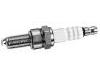 Bujia Spark Plug:60599495