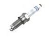 Spark Plug:04C 905 607